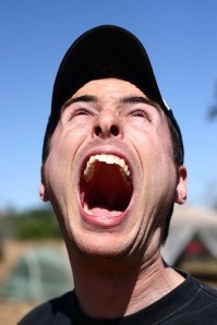 You are not removing staples? Nooooooo!!!!